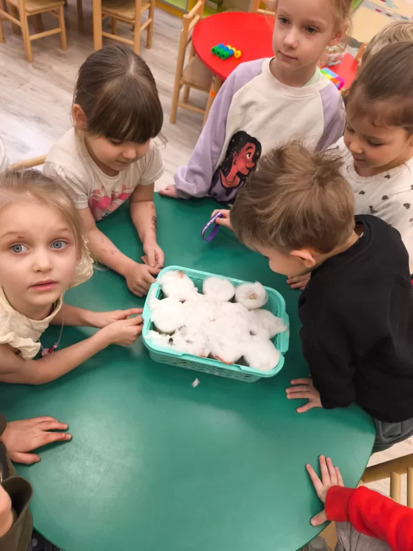 Ziemas eksperimenti turpinās... ,,Podziņas"