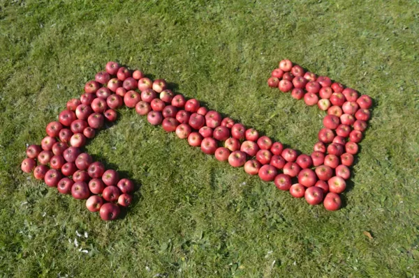 ,,Zvaniņi''