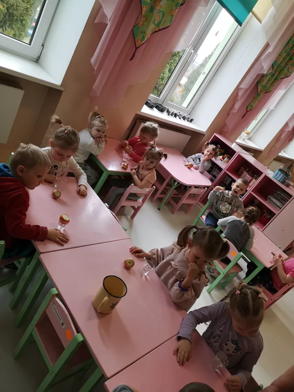 Sīpolu audzēšana ,,Podziņās".