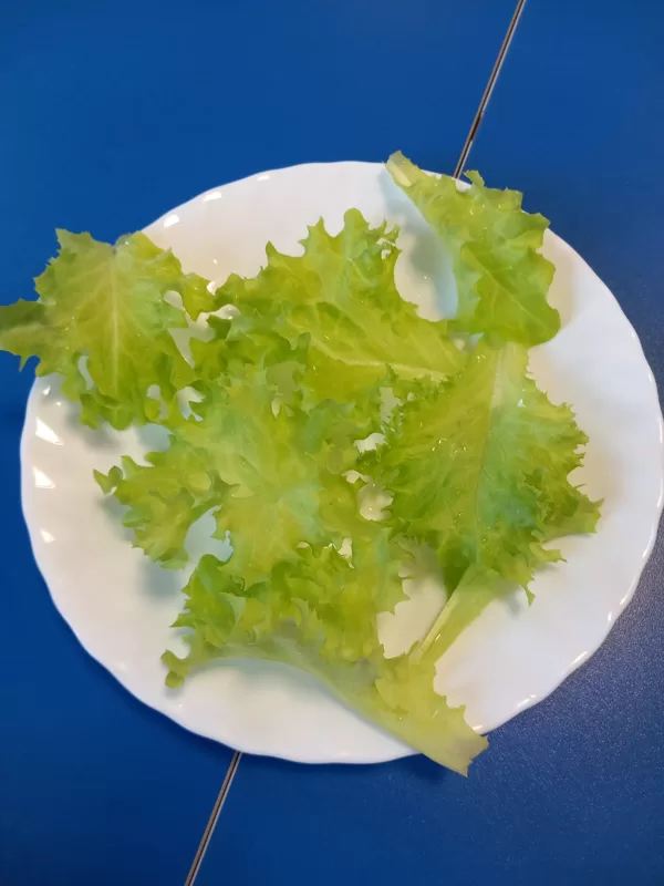 Paši audzējām, paši ēdām!